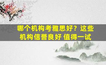 哪个机构考雅思好？这些机构信誉良好 值得一试